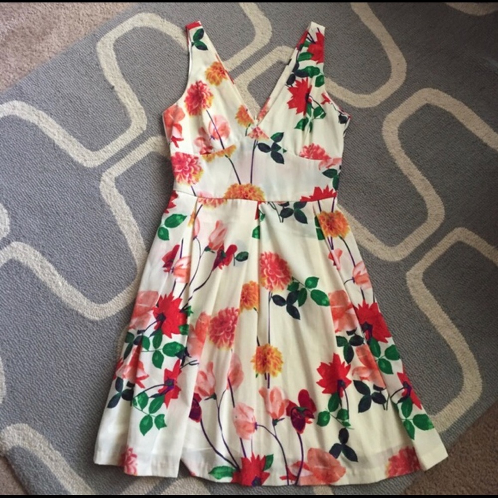 BB Dakota Dahlia sundress
